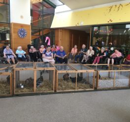 La petite ferme d’Herbauges