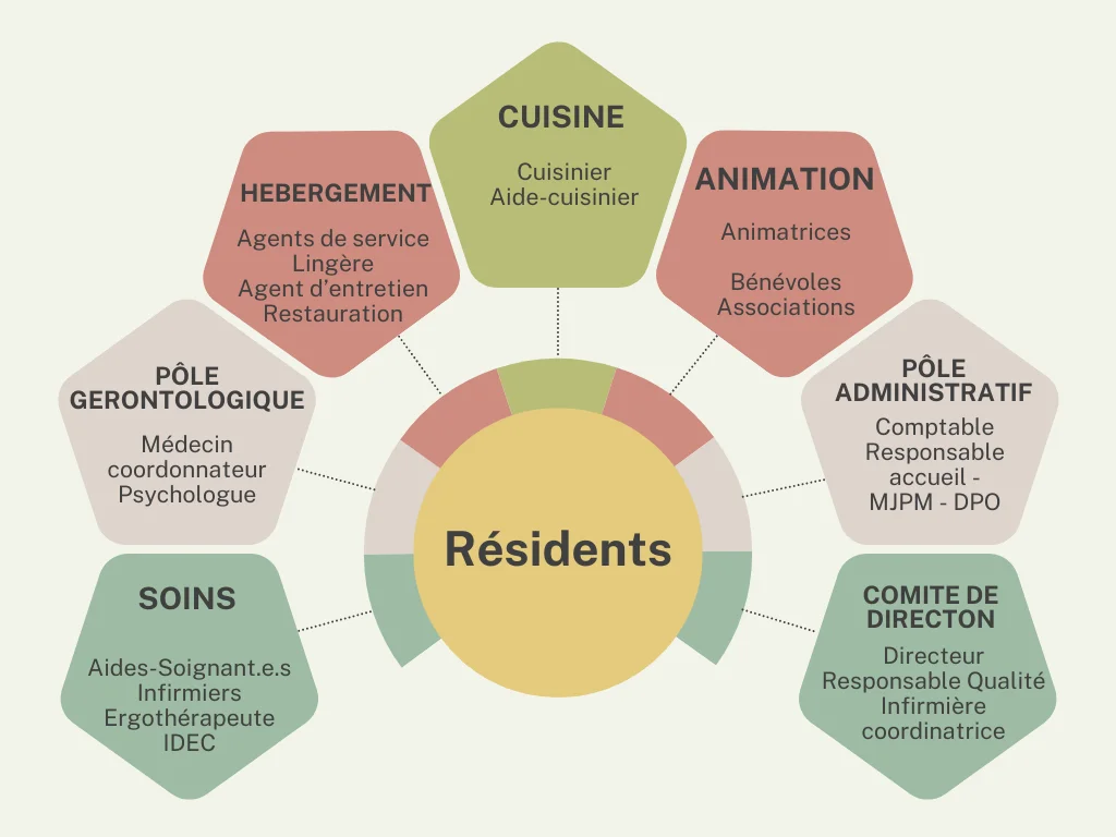 Organigramme des services et équipes pluridisciplinaires autour des résidents de l'EHPAD Le Clos du Moulin Divatte-sur-Loire